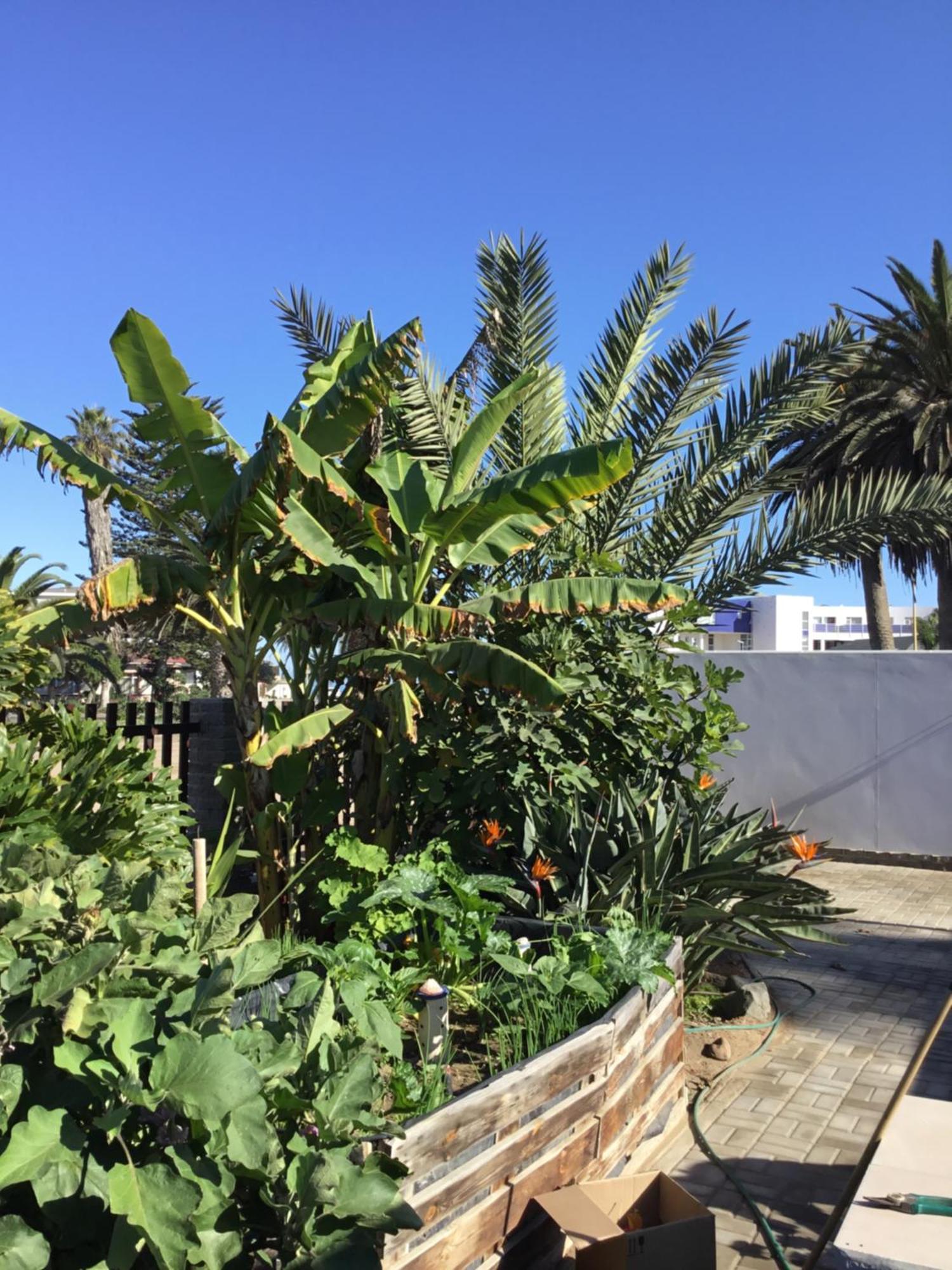 Pianoforte Swakopmund Zewnętrze zdjęcie